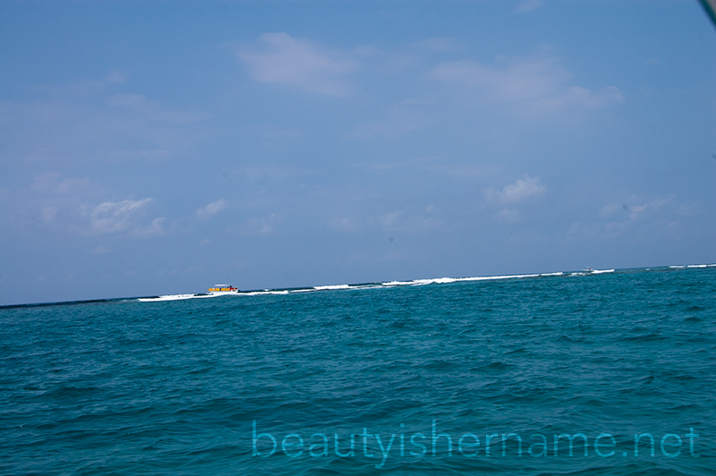 Reef, Turks and Caicos