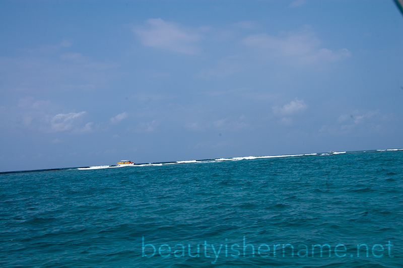 Reef, Turks and Caicos