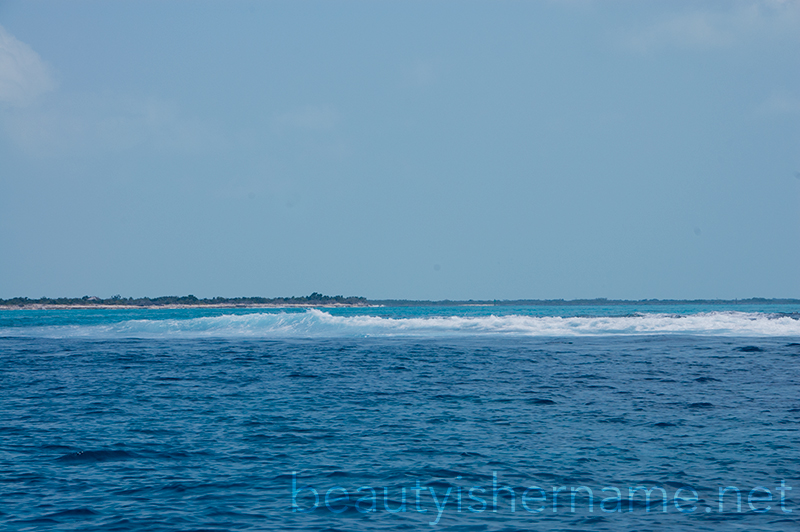 Reef, Turks and Caicos