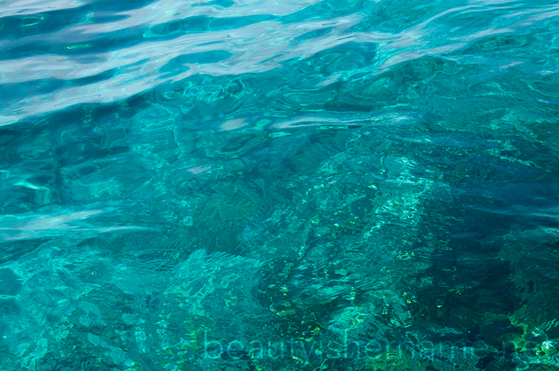 Reef, Turks and Caicos