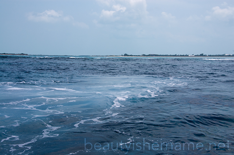 Reef, Turks and Caicos