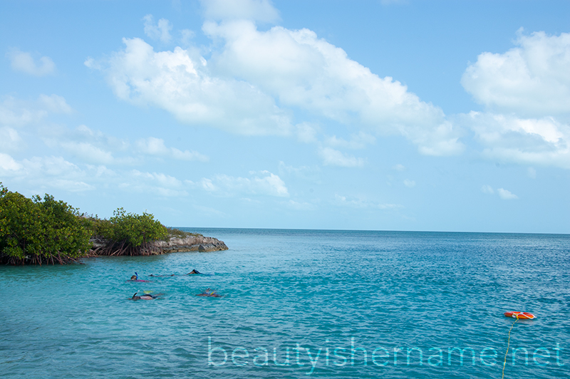 Mangrove Cay, Turks and Caicos