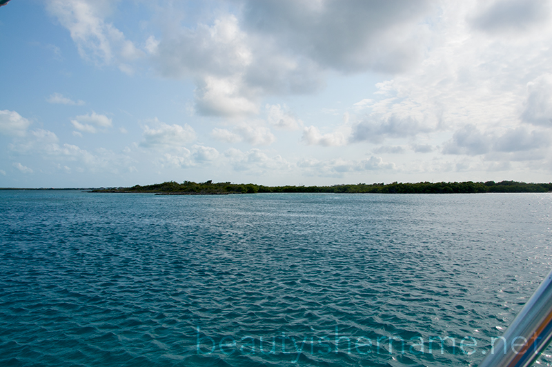 Mangrove Cay, Turks and Caicos